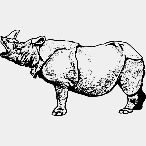 RHINO003 Thumbnail